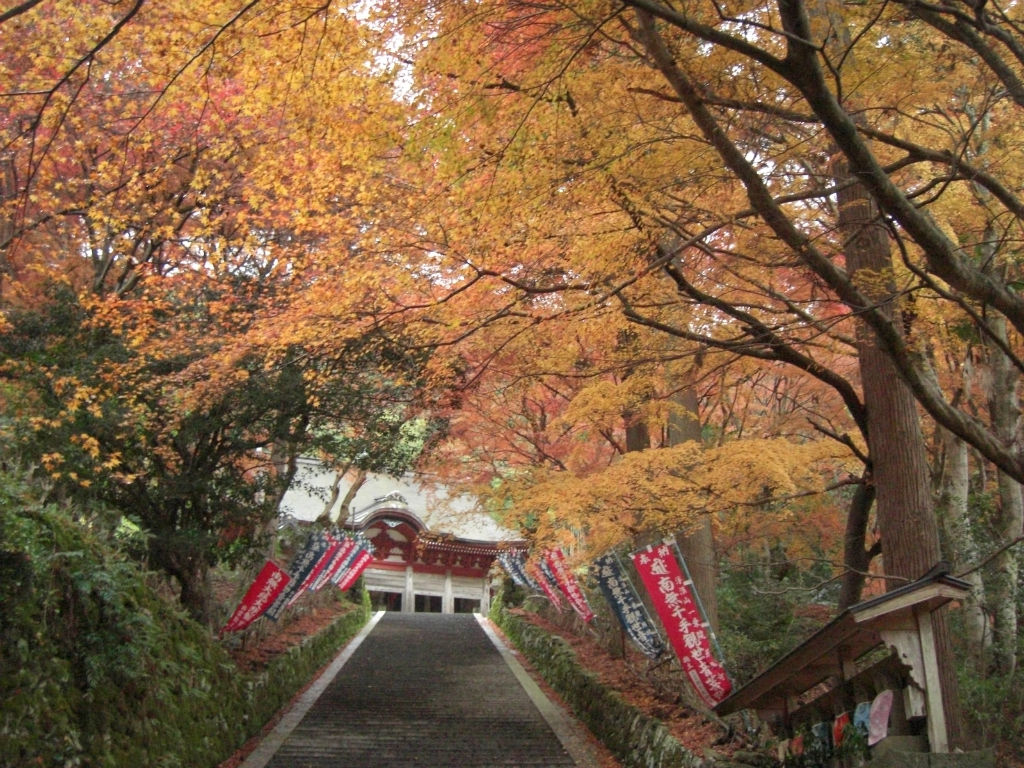鰐淵寺（Gakuen-ji Temple）